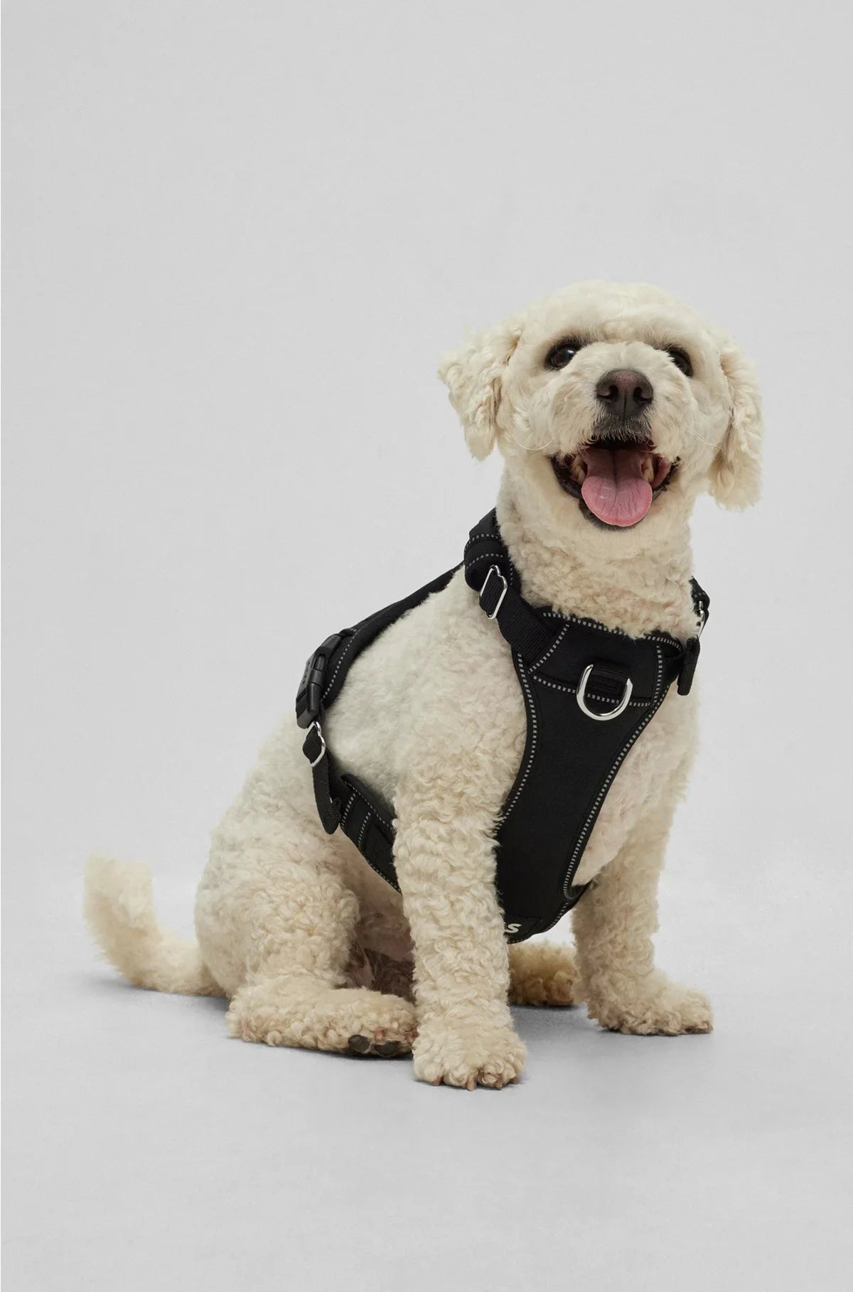 IMBRACATURA PER CANI CON IMBOTTITURA