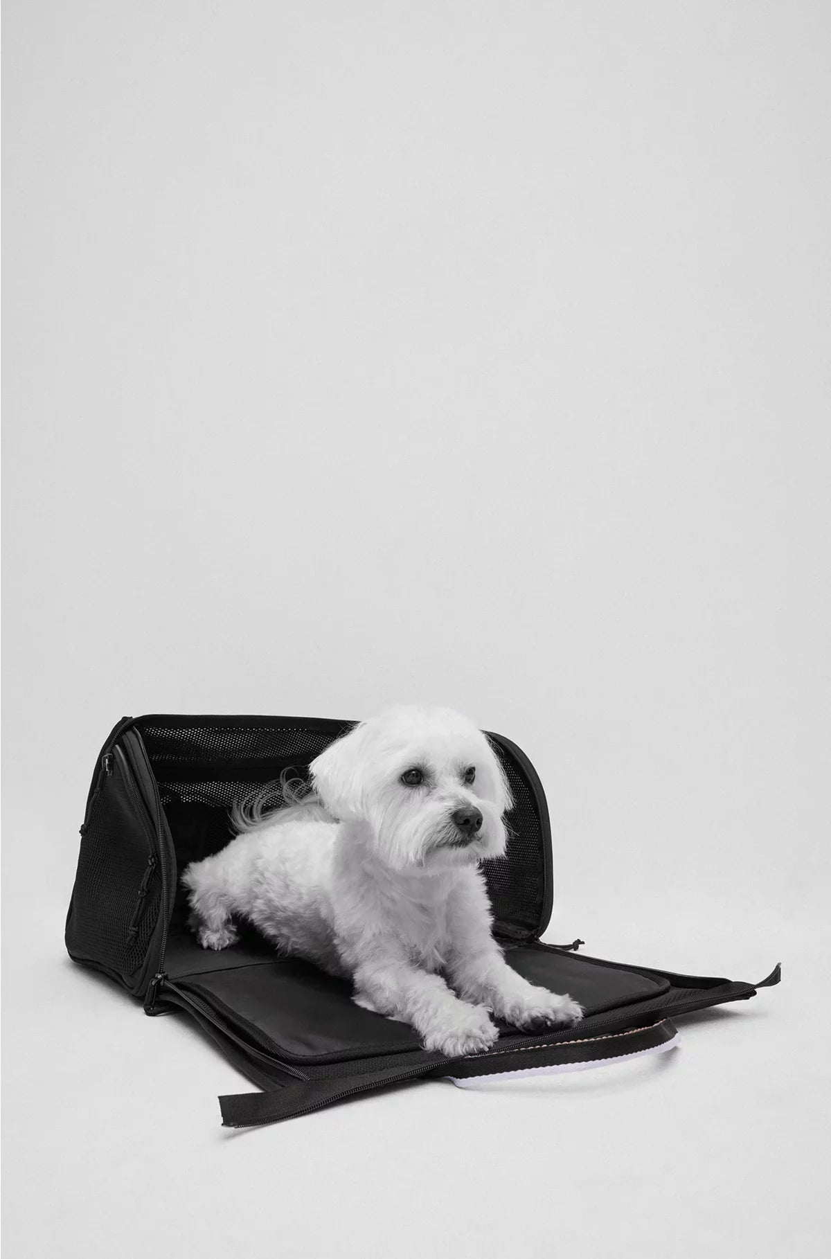 BORSA DA VIAGGIO PER CANI CON TAPPETINO TRAPUNTATO