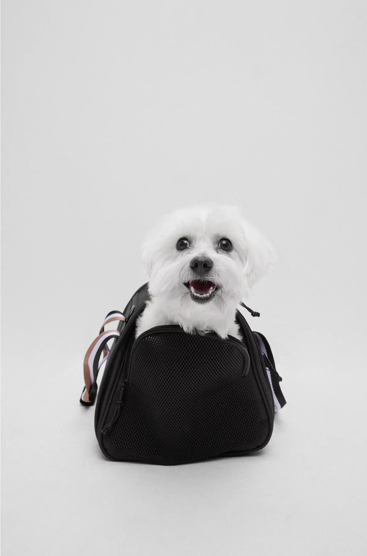 BORSA DA VIAGGIO PER CANI CON TAPPETINO TRAPUNTATO