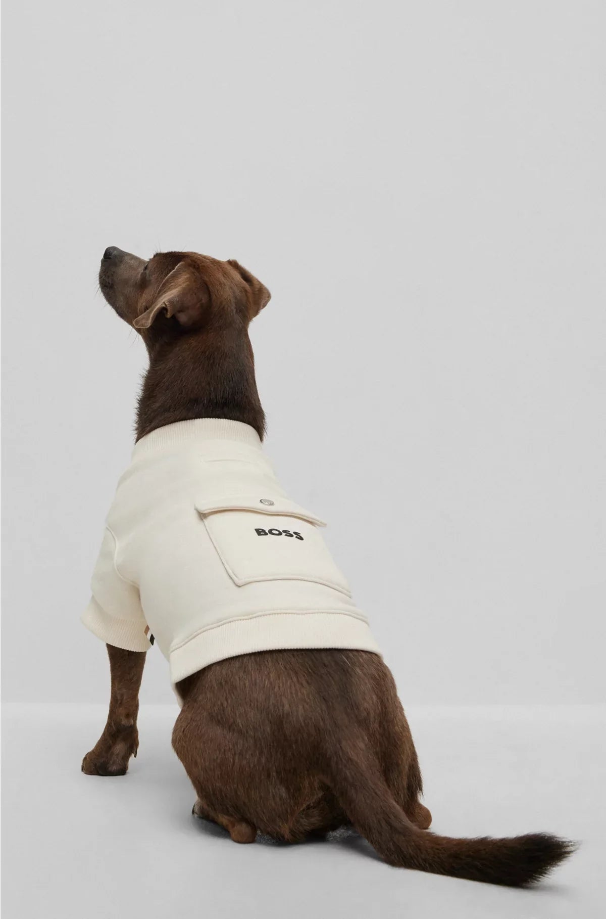T-SHIRT DA CANE IN MISTO COTONE CON LOGO