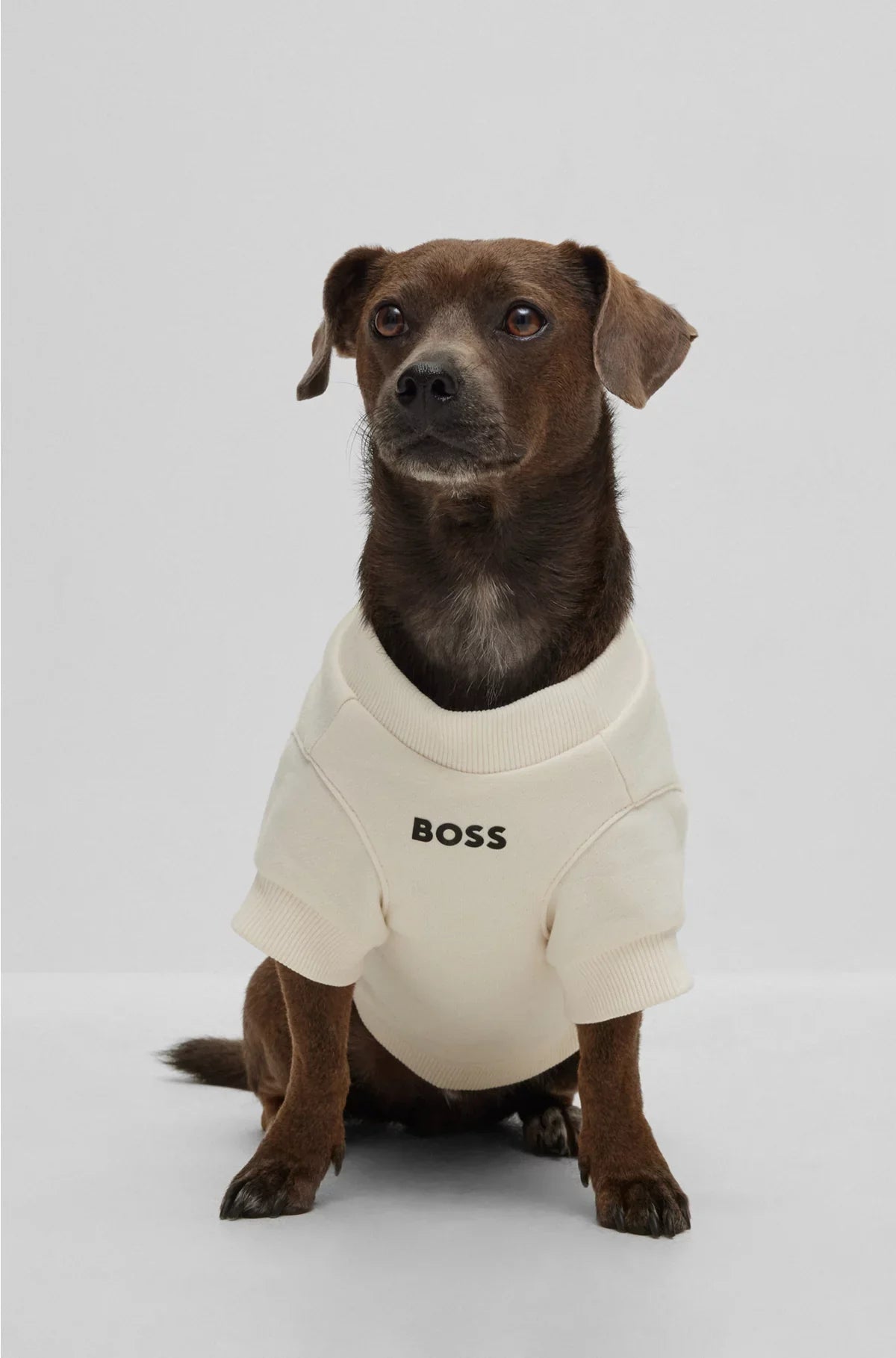 T-SHIRT DA CANE IN MISTO COTONE CON LOGO