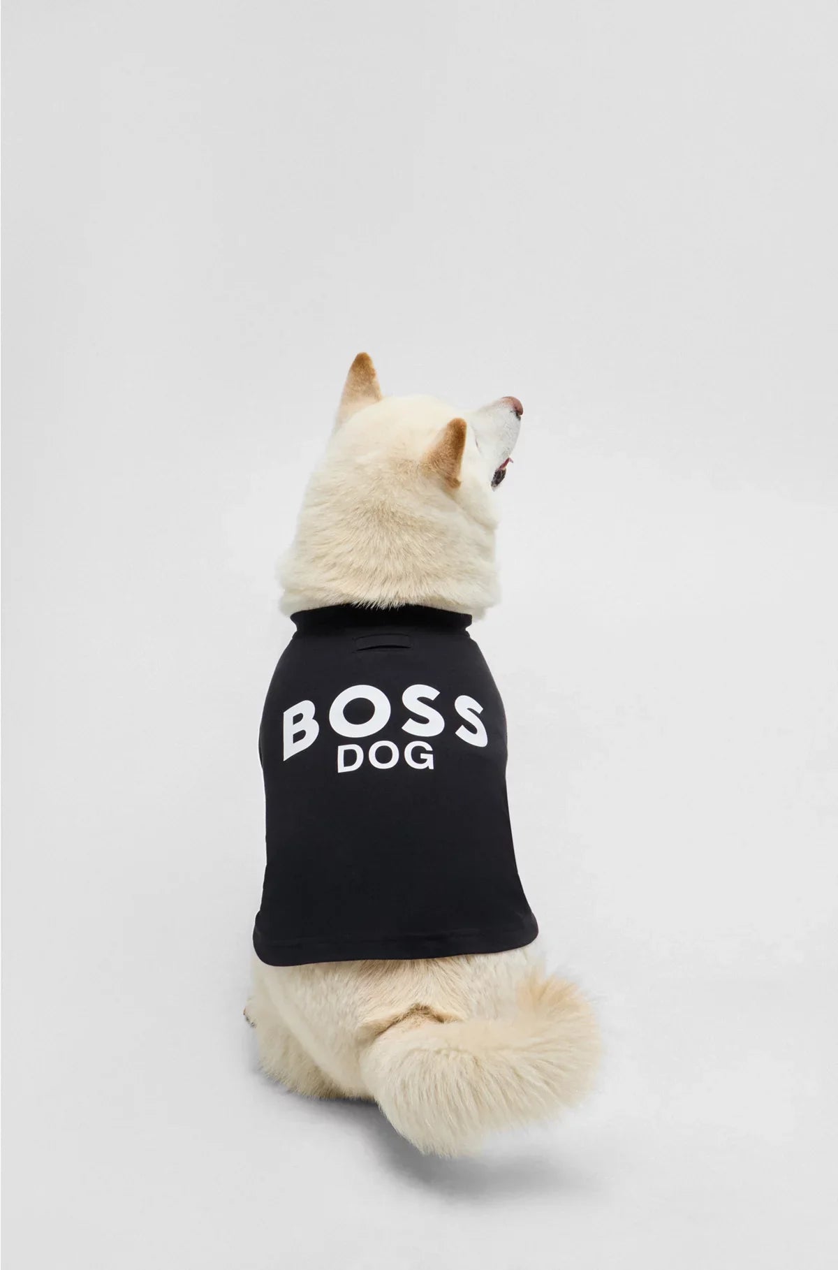 T-SHIRT DA CANE IN COTONE CON STAMPA LOGO